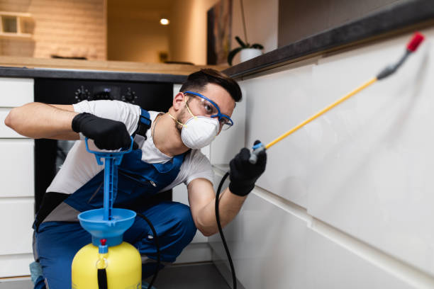 Best Mosquito Control Services  in Sparrow Bush, NY