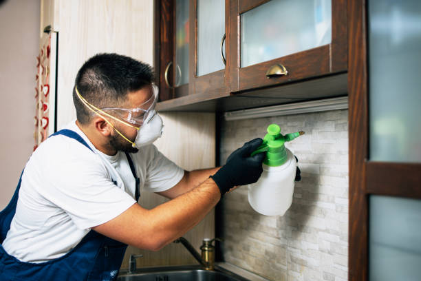 Best Local Pest Control Services  in Sparrow Bush, NY