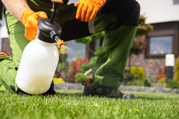 Best Best Pest Control Companies  in Sparrow Bush, NY