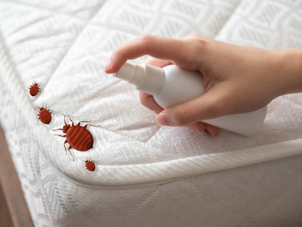 Best Best Pest Control Companies  in Sparrow Bush, NY